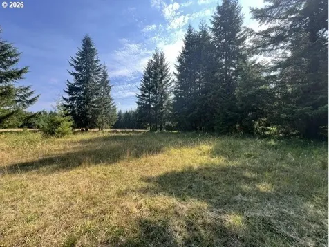 Timber Road Vernonia OR 97064