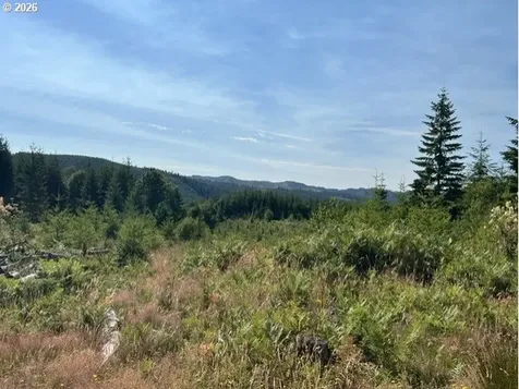 Timber Road Vernonia OR 97064