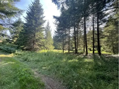 Timber Road Vernonia OR 97064