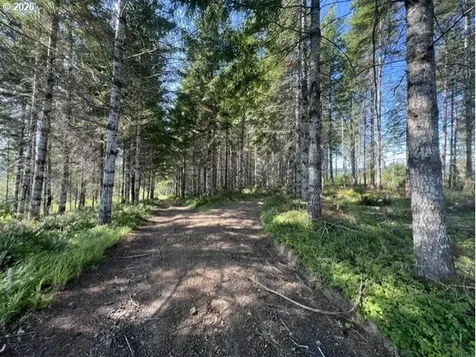 Timber Road Vernonia OR 97064