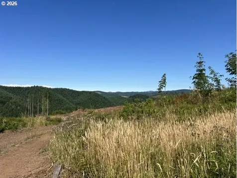 Timber Road Vernonia OR 97064