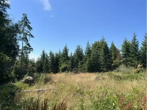 Timber Road Vernonia OR 97064