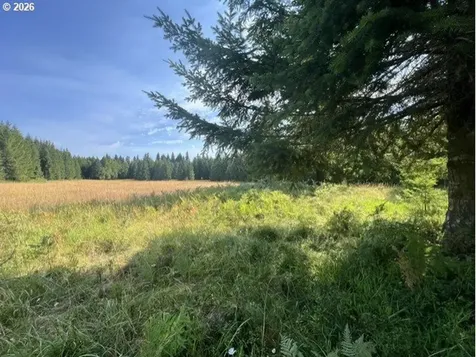 Timber Road Vernonia OR 97064