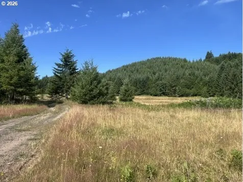 Timber Road Vernonia OR 97064
