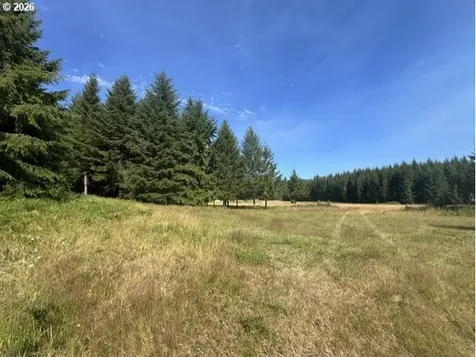 Timber Road Vernonia OR 97064