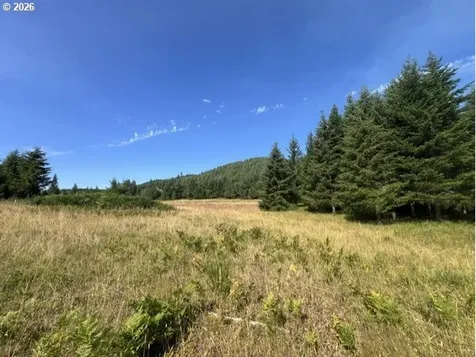 Timber Road Vernonia OR 97064