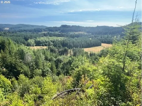 Timber Road Vernonia OR 97064