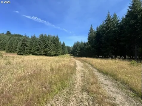 Timber Road Vernonia OR 97064