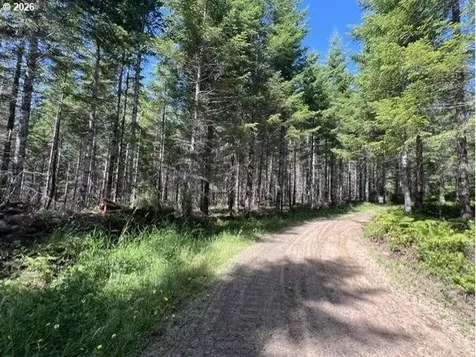 Timber Road Vernonia OR 97064