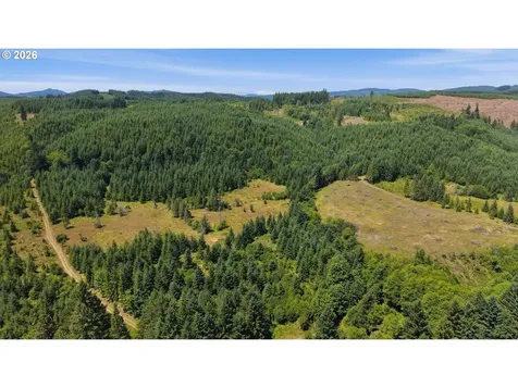 Timber Road Vernonia OR 97064