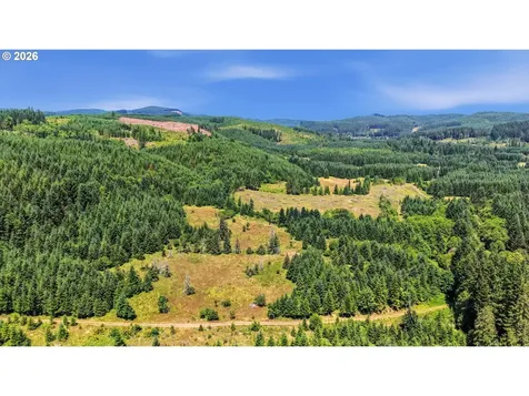 Timber Road Vernonia OR 97064