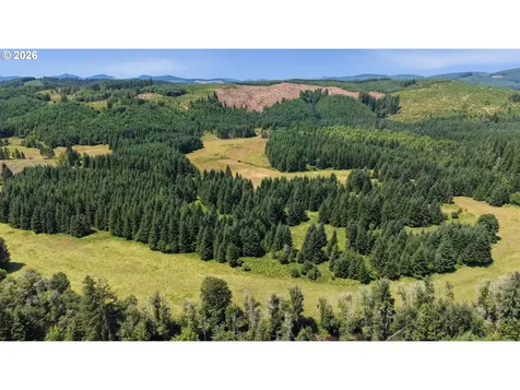 Timber Road Vernonia OR 97064