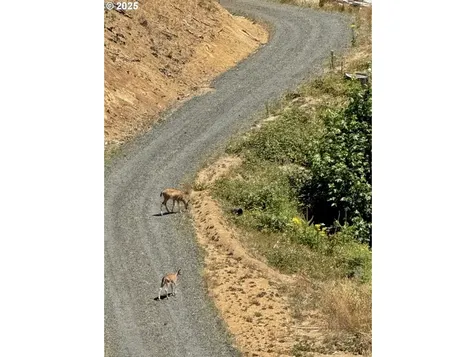 000 Trail Lane Coos Bay OR 97420