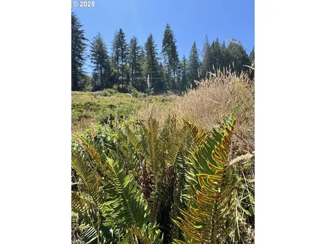000 Trail Lane Coos Bay OR 97420