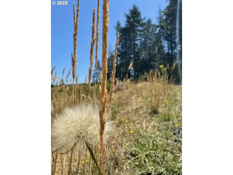 000 Trail Lane Coos Bay OR 97420