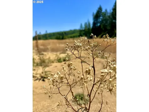 000 Trail Lane Coos Bay OR 97420