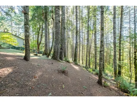 31636 Lewis Place Philomath OR 97370