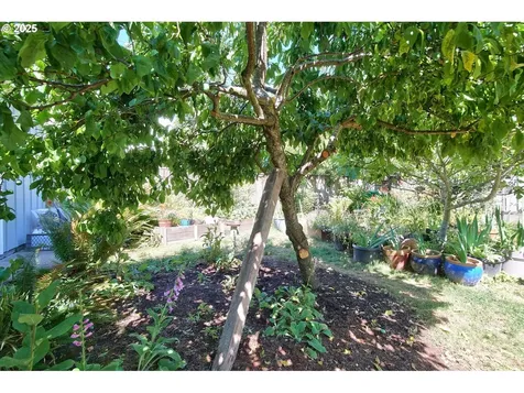 1704 SE Harold Street Portland OR 97202
