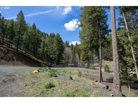 62482 Canyon Creek Lane Canyon City OR 97820