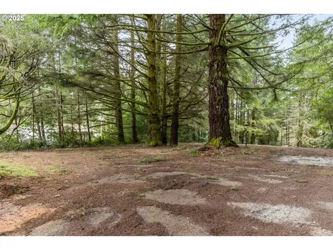 95976 Cape Ferrelo Road Brookings OR 97415