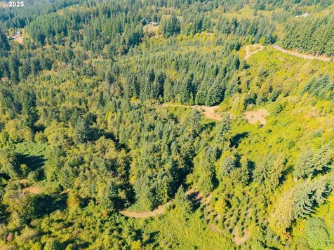 (Tax Id 986058362) Battle Ground WA 98604
