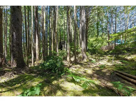 700 SE Blk Terry Pl Tl1900 Depoe Bay OR 97341