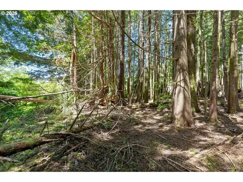 700 SE Blk Terry Pl Tl1900 Depoe Bay OR 97341