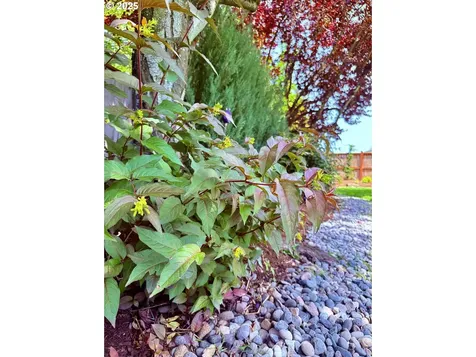 2512 NW 147th Street Vancouver WA 98685