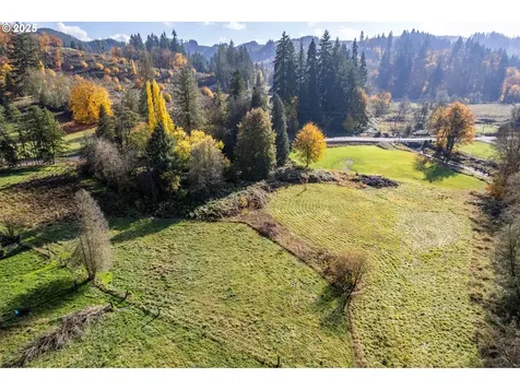 2104 Delameter Road Castle Rock WA 98611
