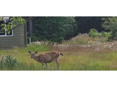135 SW Wakonda Beach Road Waldport OR 97394