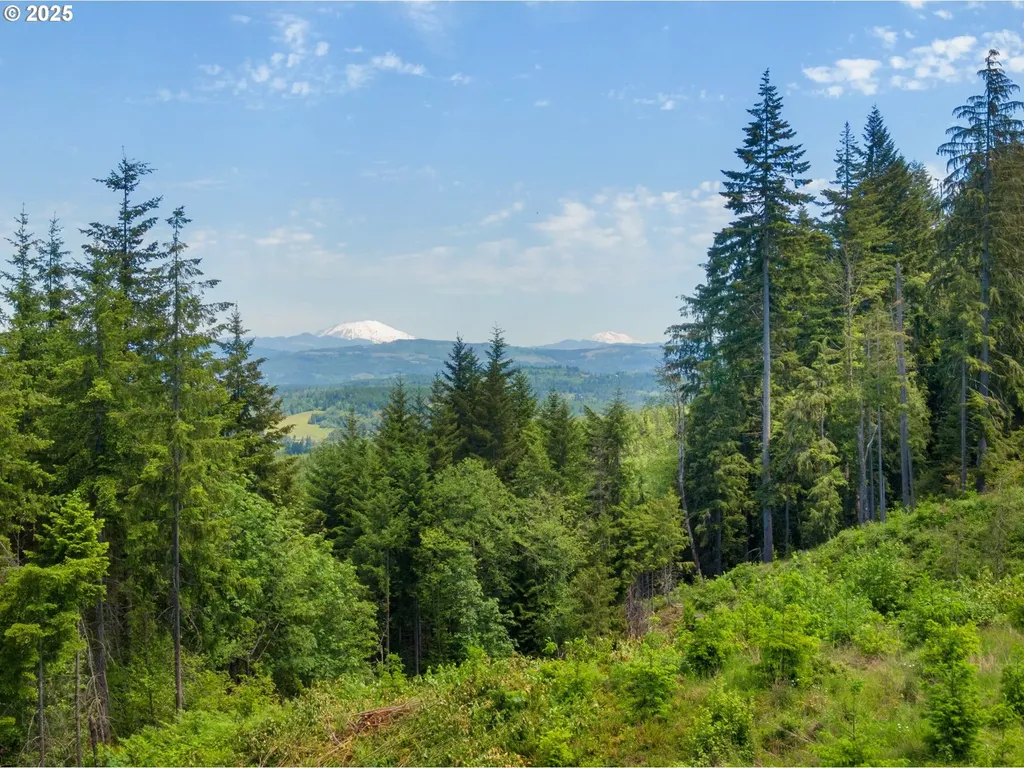Meissner Road Deer Island OR 97054
