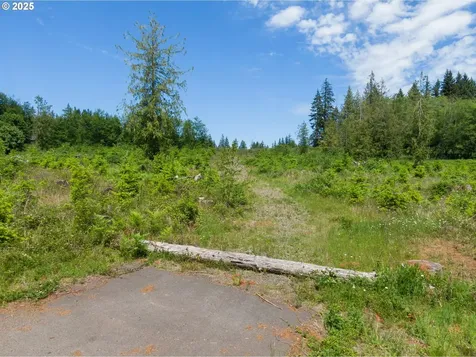 Meissner Road Deer Island OR 97054
