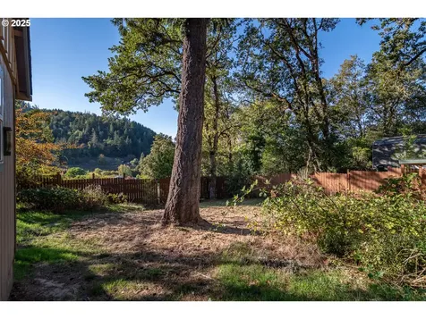 839 Union Gap Loop Road Oakland OR 97462
