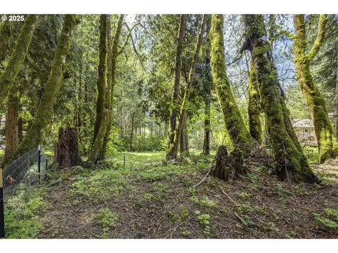 1621 Heather Lane Vernonia OR 97064