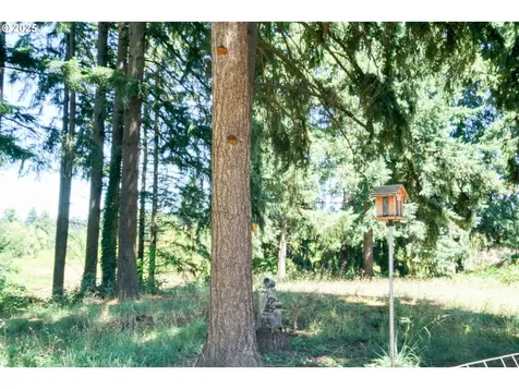 3839 NE Hembree Street Mcminnville OR 97128