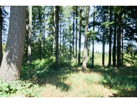 3839 NE Hembree Street Mcminnville OR 97128
