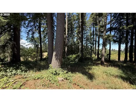 3839 NE Hembree Street Mcminnville OR 97128