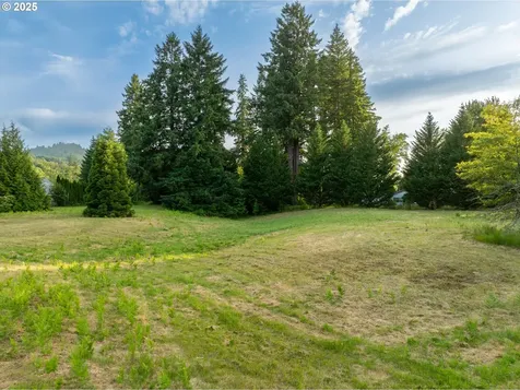 42804 NW 7th Court Woodland WA 98674