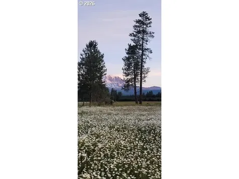 106 Lakeside Road Glenwood WA 98619