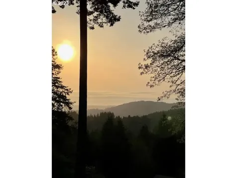 94517 Shelley Lane Coquille OR 97423