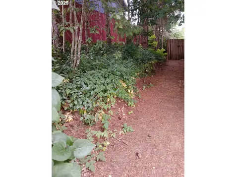 1422 SW Pioneer Drive Willamina OR 97396