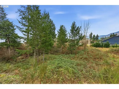 960 NW Angel Heights Road Stevenson WA 98648