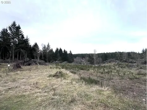 Cochran Road Timber OR 97144