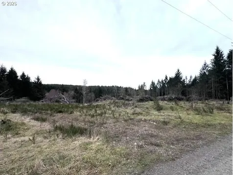 Cochran Road Timber OR 97144
