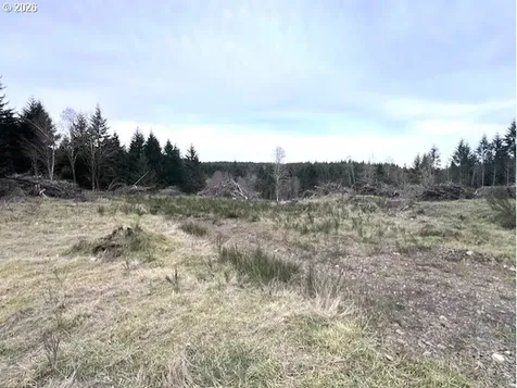 Cochran Road Timber OR 97144