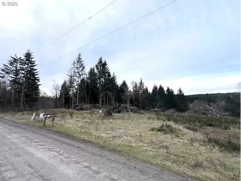 Cochran Road Timber OR 97144