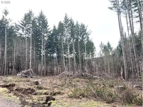 Cochran Road Timber OR 97144