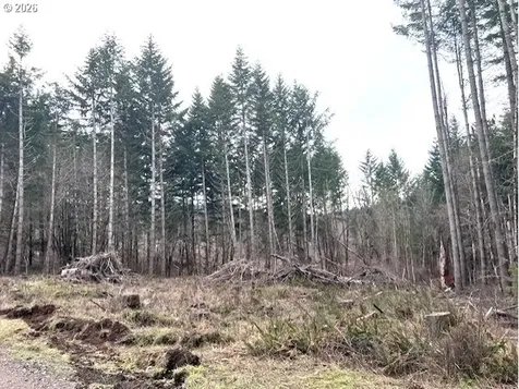Cochran Road Timber OR 97144