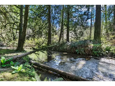 24458 Panther Creek Road Veneta OR 97487