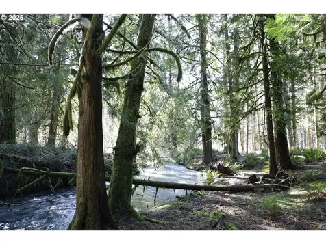 24458 Panther Creek Road Veneta OR 97487